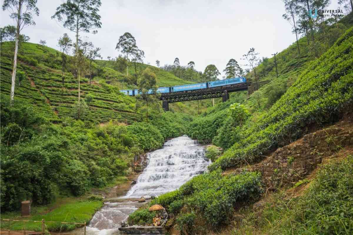Hill Country New Train Services - Ella odyssey